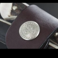 Boker Arbolito Salida Stag Fixed Blade -Survivor Gear Shop 03ba501hhdet4 60301.1587413265