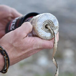 Rapid Rope Canister -Survivor Gear Shop RRPC6010det5 05809.1640877901