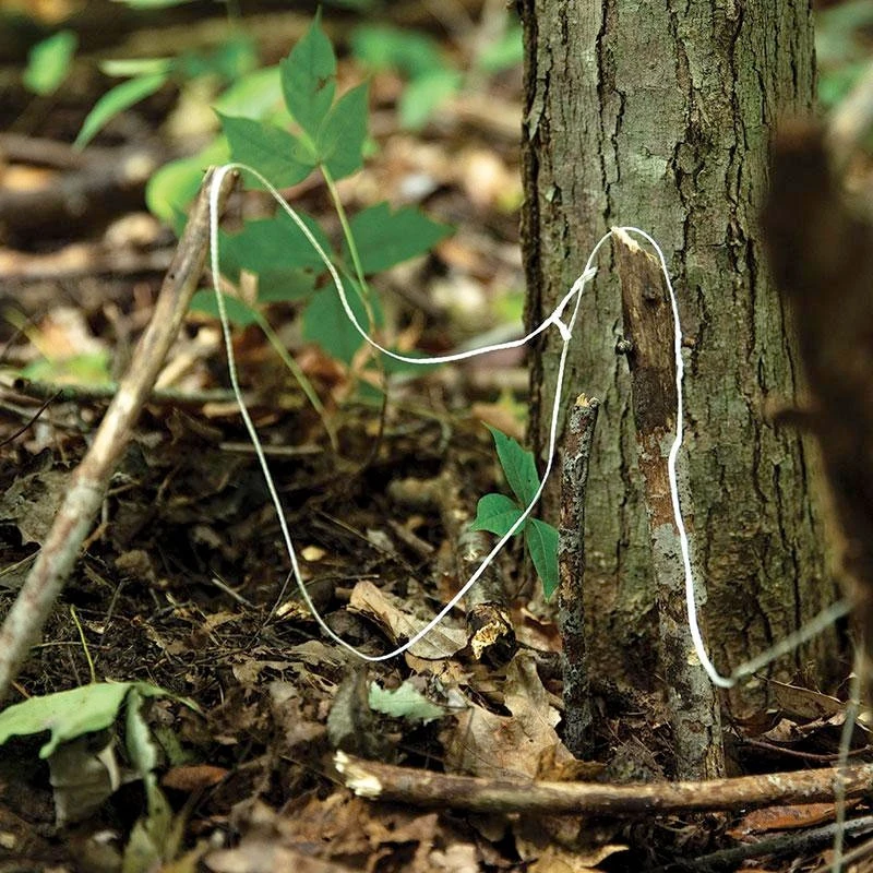 Front Page -Survivor Gear Shop rg1294hdet4 34928.1587415945