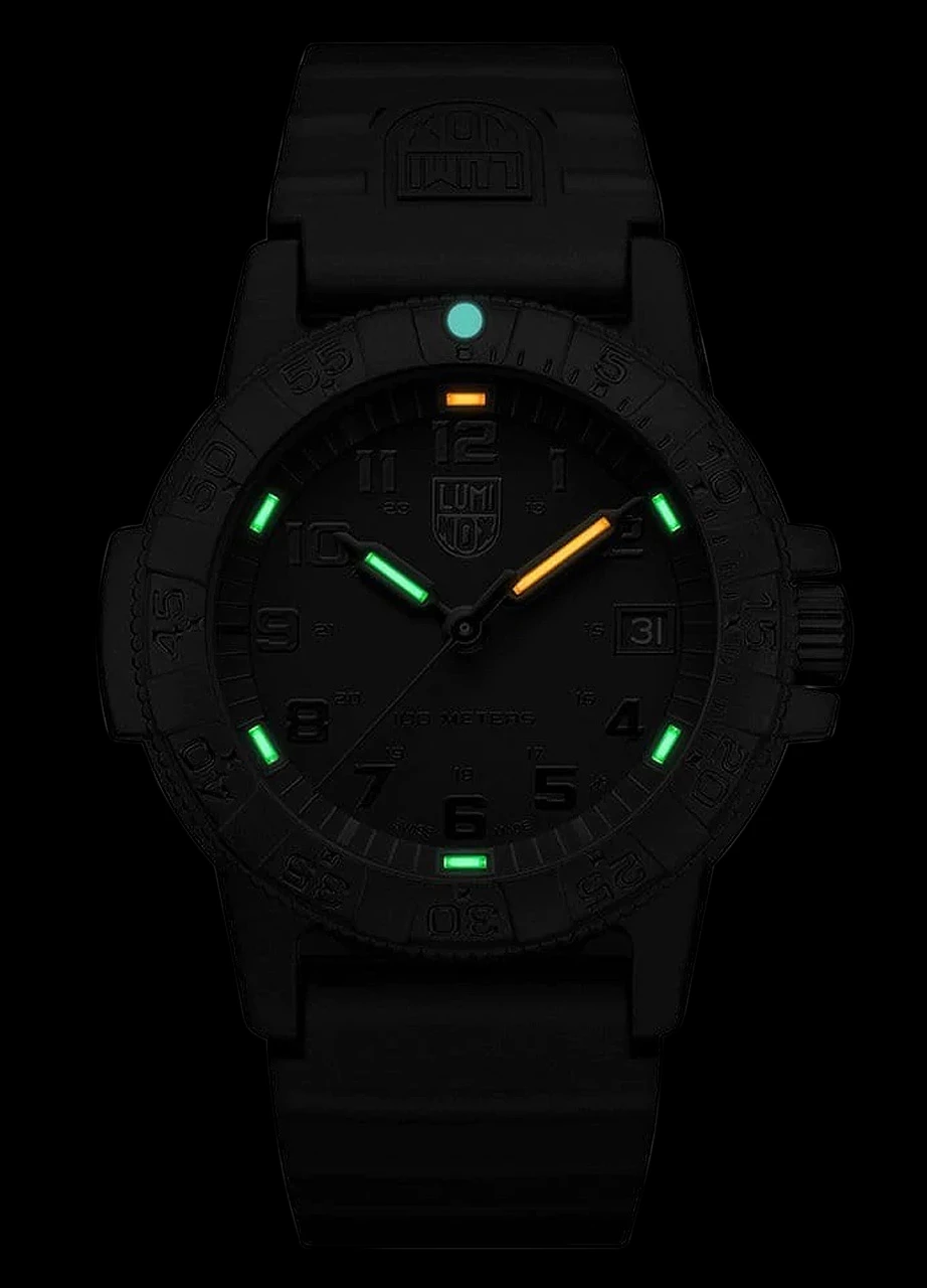 Luminox Leatherback Sea Turtle Blackout 5 Luminox Leatherback Sea Turtle Blackout - Image 3