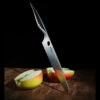 Samura Modern Chef's Knife Reptile 1 Samura Modern Chef's Knife Reptile -Survivor Gear Shop TC SRP 0087det2 47617.1623233914