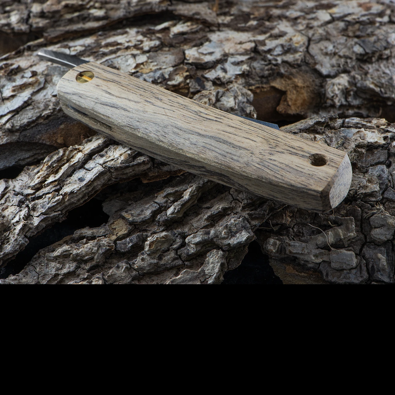 Kotoh Black Persimmon D2 3 Kotoh Black Persimmon D2